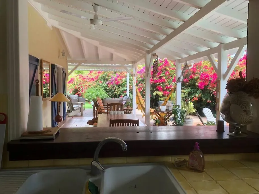 Mille Et Une Fleurs Proche Plages Le Moule Guadeloupe